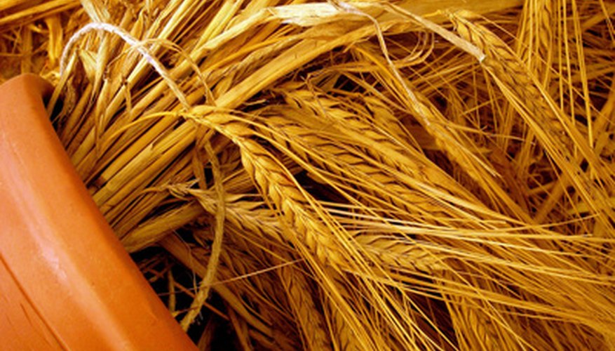 Barley straw is one of the oldest home remedies for controlling algae. Barley straw is one of the oldest home remedies for controlling algae.