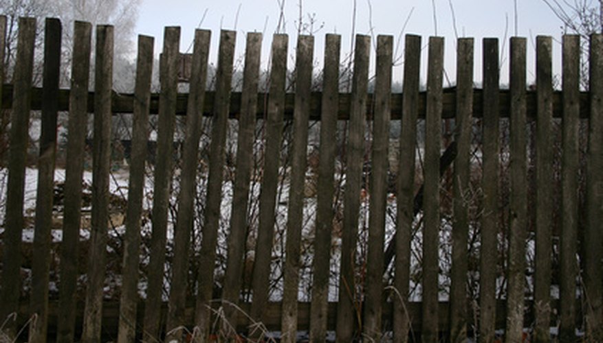 How to Dog Proof a Fence Daily Puppy