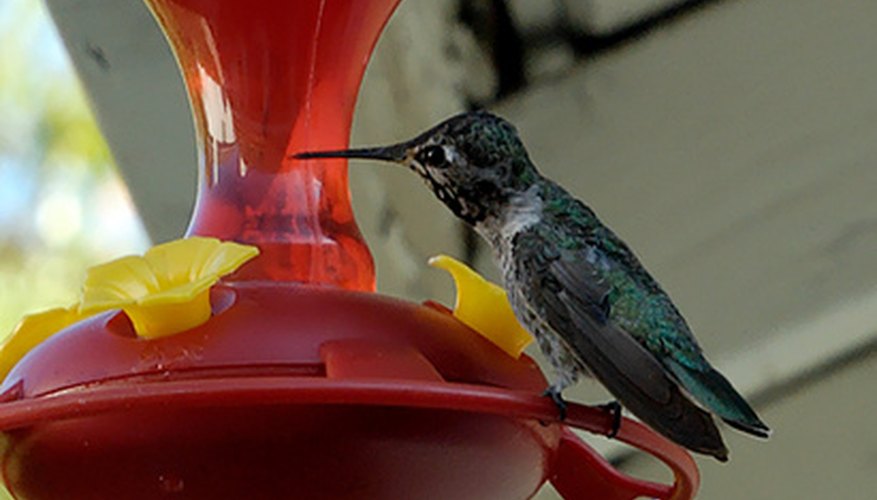 Photo Credit: hummingbird image by Clarence Alford from <a href='http://www.fotolia.com'>Fotolia.com</a> Hummingbird feeders are a delightful additon to any home.