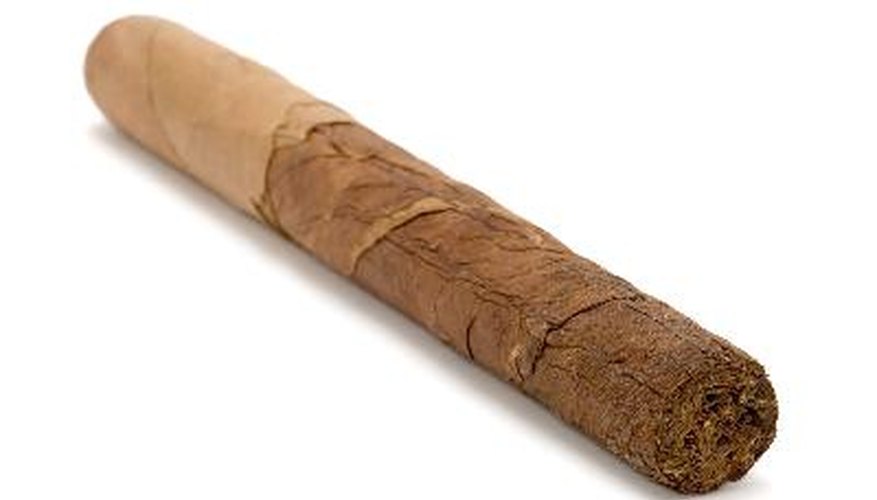 Mantén tus puros dentro de un humidor.