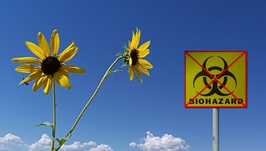 La influencia del medio ambiente en los negocios ha evolucionado en las últimas décadas.