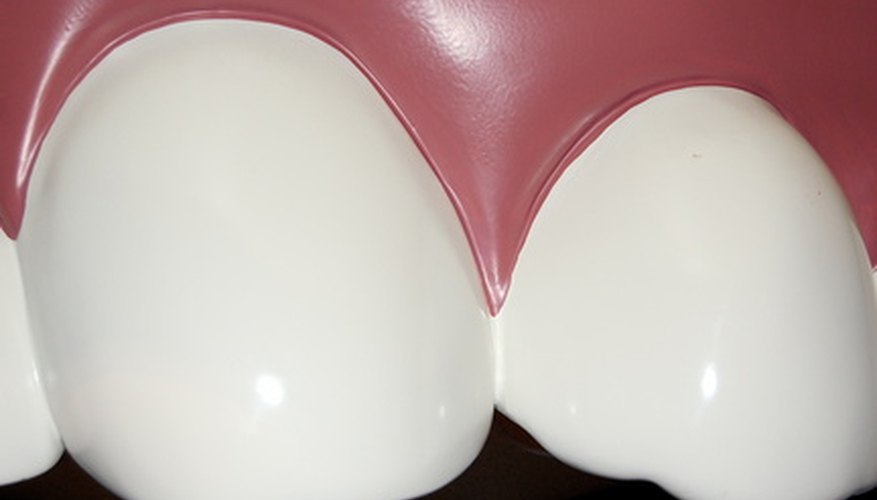 Photo Credit: teeth image by JASON WINTER from <a href='http://www.fotolia.com'>Fotolia.com</a> Your science project can show the importance of taking care of your teeth.