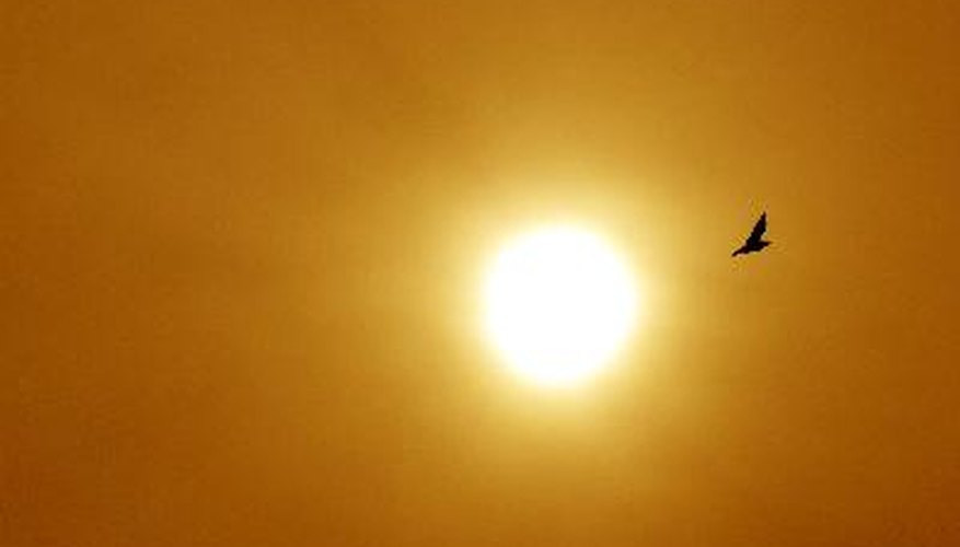 En el sistema solar, todos los cuerpos celestes orbitan alrededor de esta estrella.