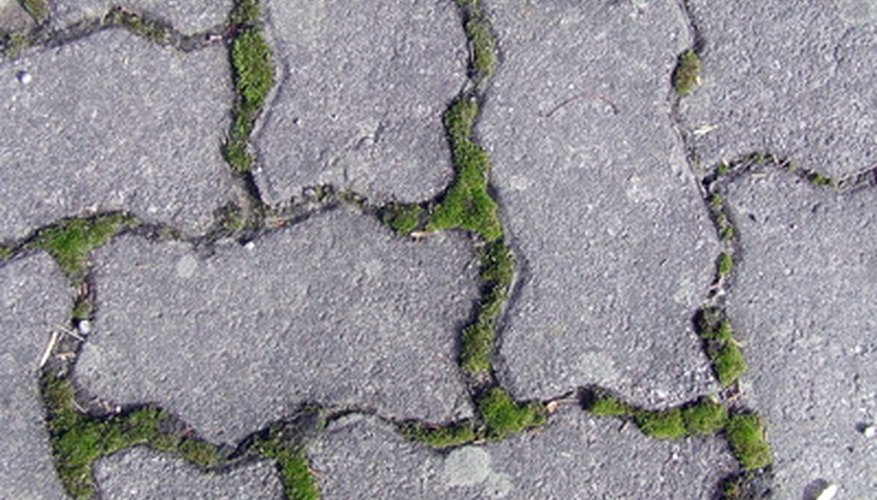 how-to-remove-moss-from-paving-stones-garden-guides