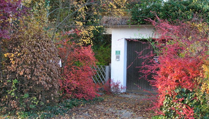Detached garages are often behind the back yard. Detached garages are often behind the back yard.