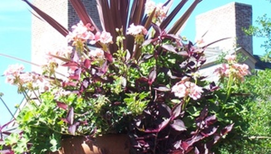 Front Porch Potted Plants