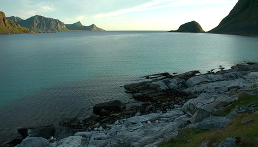 Photo Credit: ocean image by Sergey Dyadechkin from <a href='http://www.fotolia.com'>Fotolia.com</a> Dolphins can live even in remote locations like the Polynesian islands.