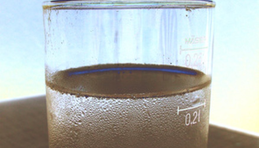 Con el tiempo, este vaso de agua podría convertirse en un ecosistema léntico.