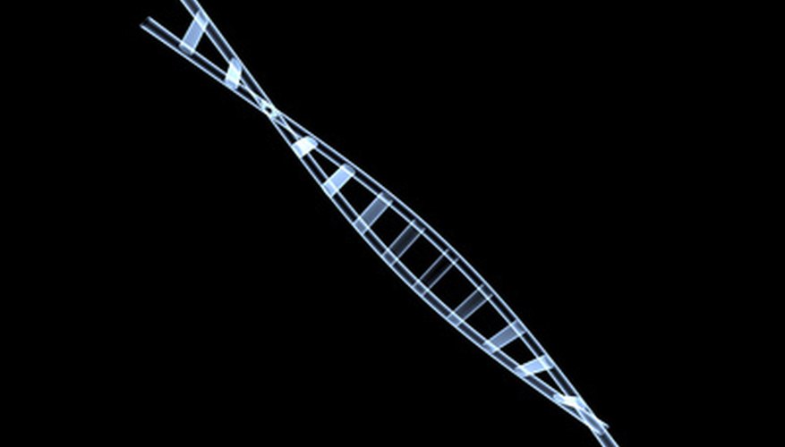 Photo Credit: DNA image by chrisharvey from <a href='http://www.fotolia.com'>Fotolia.com</a> Double helix structure of DNA