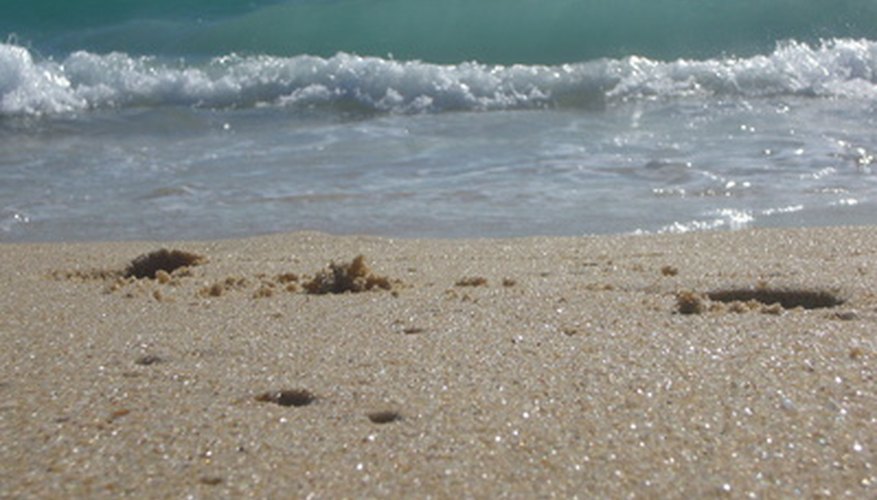 El agua de mar contiene sólo 0,54% de MgCl2 pero es una fuente natural abundante del metal magnesio.