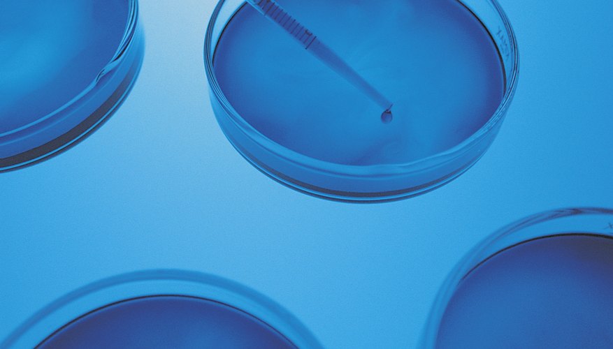 Part of using a control is duplicating a single experiment under different conditions. Part of using a control is duplicating a single experiment under different conditions.