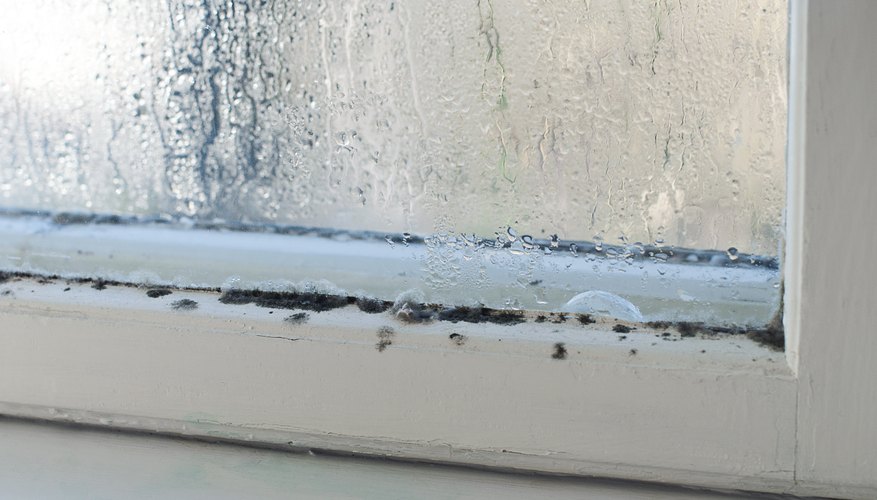 Mildew on a windowsill. Mildew on a windowsill.