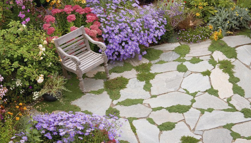 A garden and bench. A garden and bench.