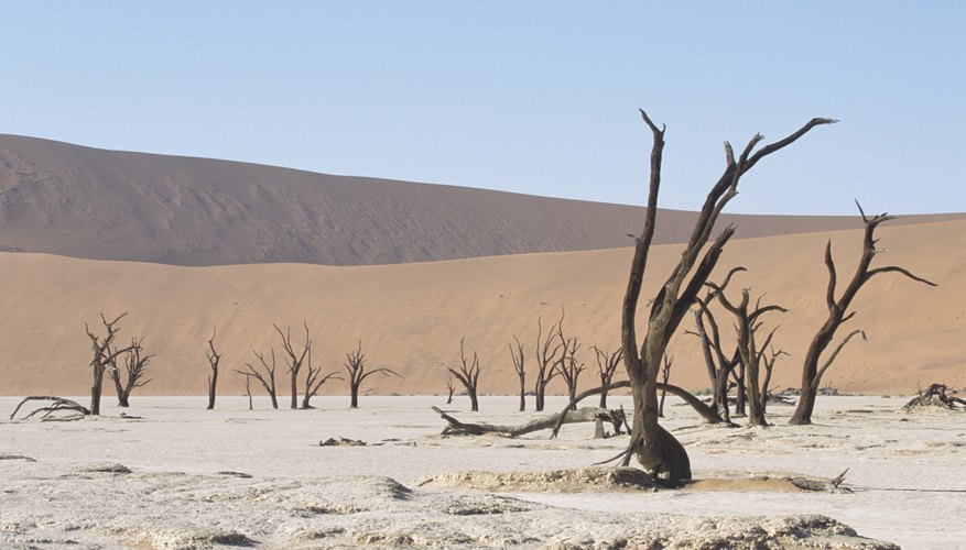 If an area goes dry for an extended period, it will need to find a new source of water or seek alternate power sources such as solar energy. If an area goes dry for an extended period, it will need to find a new source of water or seek alternate power sources such as solar energy.