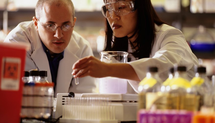 Two scientists conducting experiment in laboratory