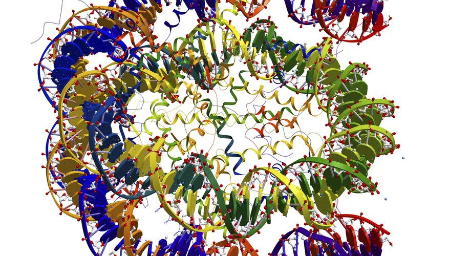 Nucleotide 3D model Nucleotide 3D model