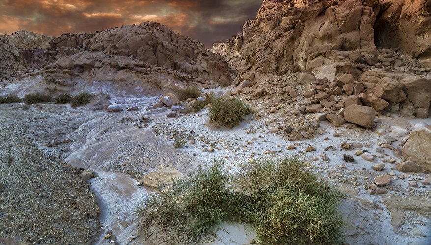 The Negev desert covers more than half of the territory in Israel The Negev desert covers more than half of the territory in Israel