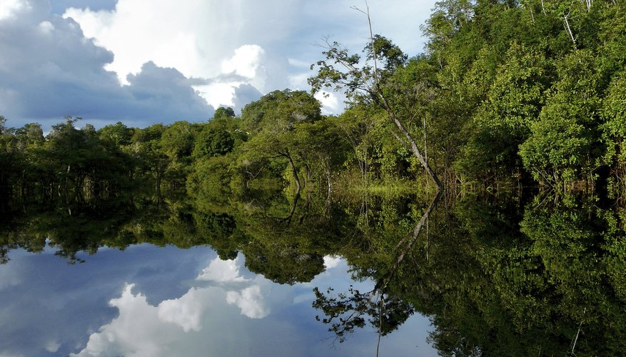 Photo Credit: JaySi/iStock/Getty Images Reflective Amazon river in Brazil