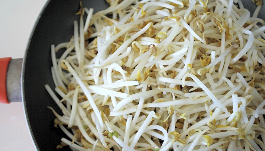 pregnancy-bean-sprouts-how-to-adult