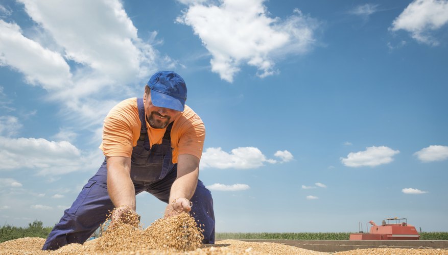 happy farmer
