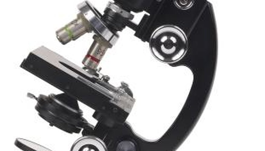 A microscope provides a magnified view of very small objects. A microscope provides a magnified view of very small objects.