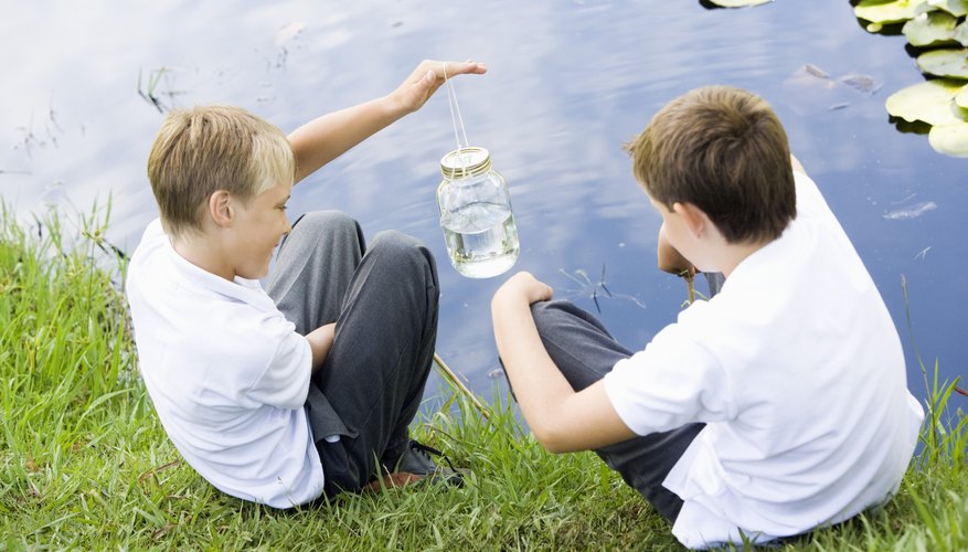 Environmental Science Activities for Kids | Sciencing