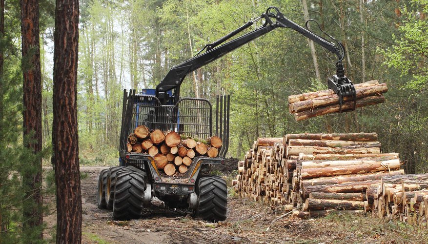 Harvester picking up cut trees in forest