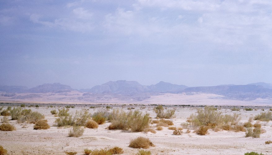 Photo Credit: Photos.com/Photos.com/Getty Images Make a biome of a desert habitat for a class project.