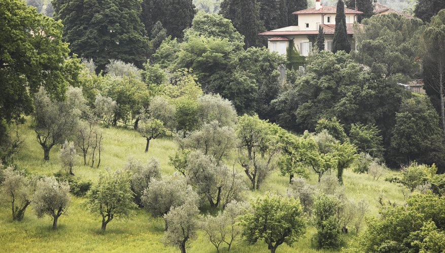 A foreign villa is tax-deductible at home.