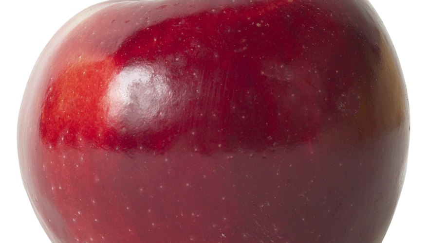 Photo Credit: Hemera Technologies/PhotoObjects.net/Getty Images Enzymes assist all stages of apple development.