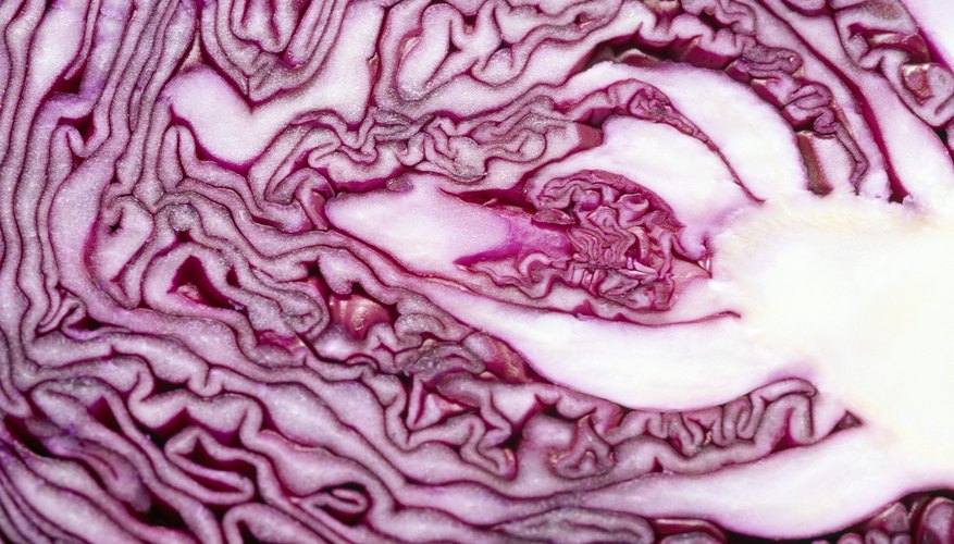 Photo Credit: Goodshoot/Goodshoot/Getty Images A chemical in red cabbage can be used to make pH test strips.