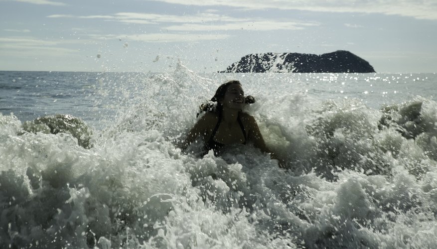 The ocean ecosystem includes all water, rocks, sand, and creatures in it. The ocean ecosystem includes all water, rocks, sand, and creatures in it.