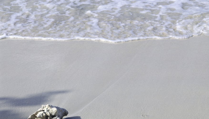 Photo Credit: DC Productions/Photodisc/Getty Images Acidic ocean water can lead to smaller, weaker seashells and prevent seashells from forming.