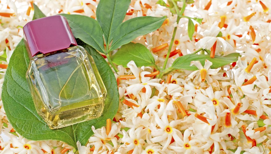 A bottle of jasmine oil and a leaf on a bed of jasmine flowers A bottle of jasmine oil and a leaf on a bed of jasmine flowers