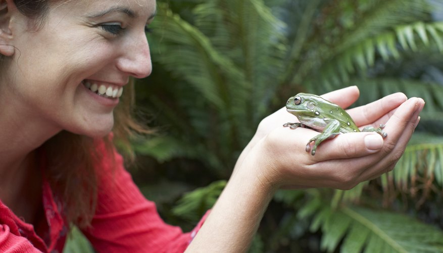 Photo Credit: Bec Parsons/Digital Vision/Getty Images Human lungs are more efficient than frog lungs.