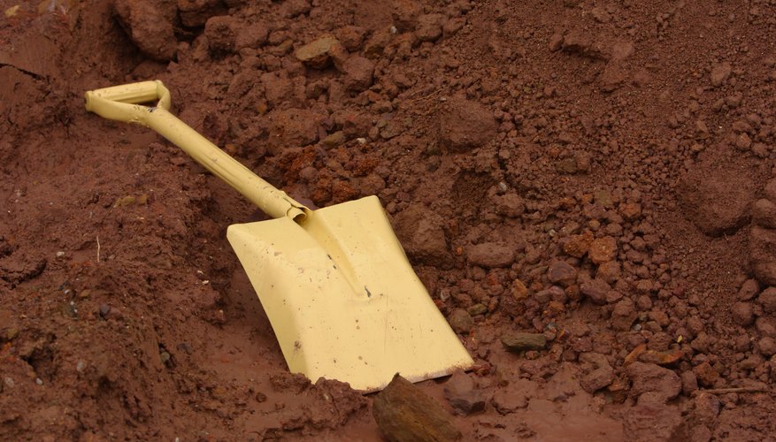 Use a shovel to remove standing water and dig into the muddy soil. Use a shovel to remove standing water and dig into the muddy soil.