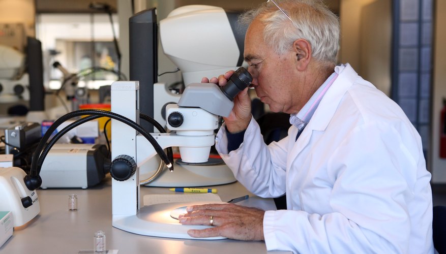 Photo Credit: Oli Scarff/Getty Images News/Getty Images A biologist examining a sample through a microscope in a lab.