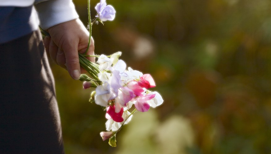 Simple pleasures can still be enjoyed through frugal living.