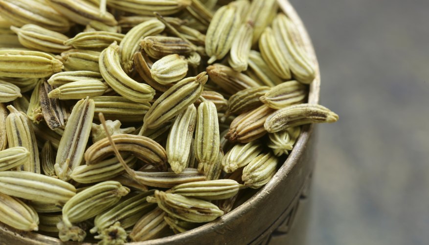 Photo Credit: olgakr/iStock/Getty Images Fennel
