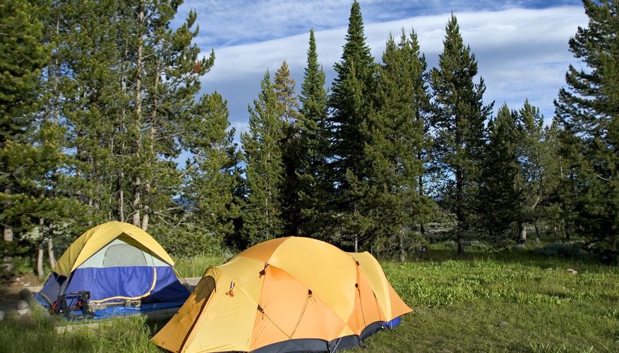 Campgrounds at the East Entrance to Yellowstone Park