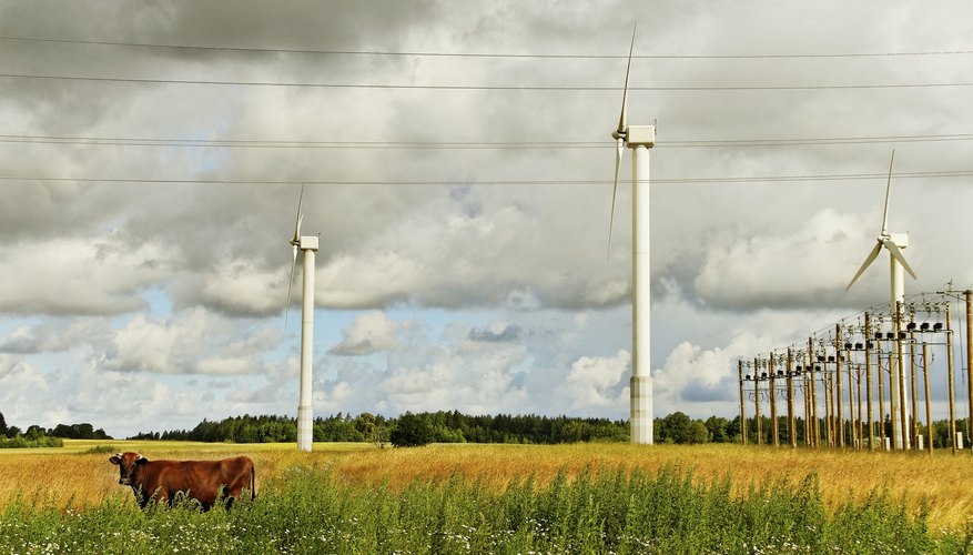 Photo Credit: Ratikova/iStock/Getty Images A cow stands under wires with turbines in the distance.