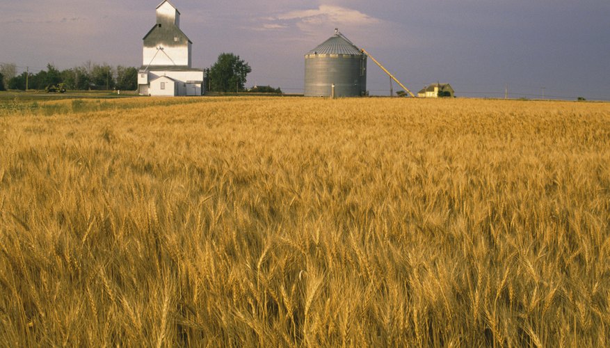 Children who inherit the family farm own the land as tenants in common