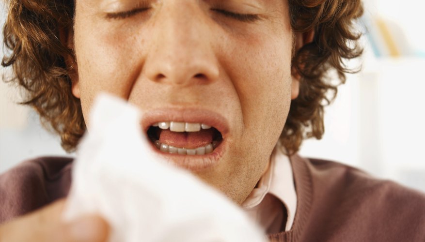 Man about to sneeze Man about to sneeze