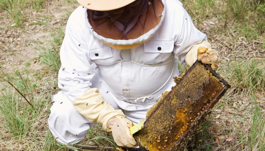You can make money beekeeping in more ways than just selling excess honey.