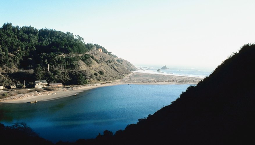 Photo Credit: Jupiterimages/Photos.com/Getty Images Estuaries provide habitats for crabs, clams, oysters, shrimp and other important fish species.
