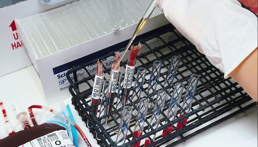 Medical lab Medical lab