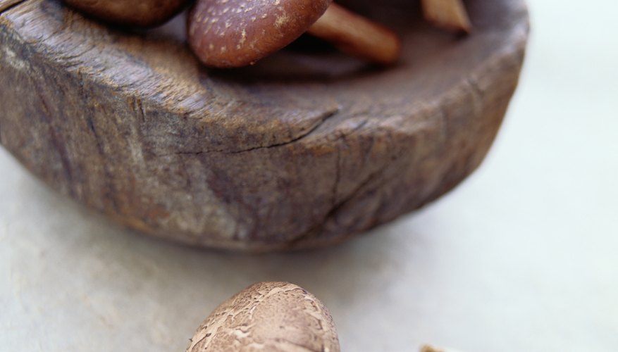 Shittake mushrooms provide a lot of vitamin D, but fish oil has the largest quantity. Shittake mushrooms provide a lot of vitamin D, but fish oil has the largest quantity.