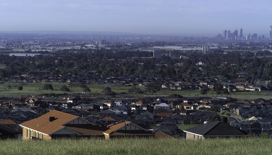 Photo Credit: scott garrett/iStock/Getty Images Pollution and urban spawl have had a negative effect on the temperate forests.