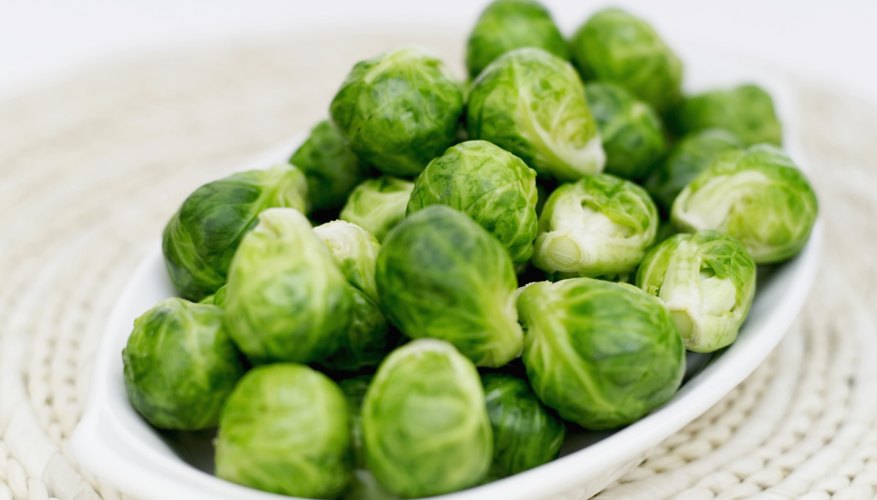 Brussels sprouts on a plate Brussels sprouts on a plate