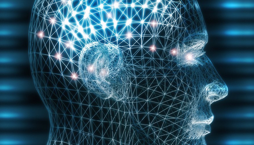 Las cuatro principales teorías de la personalidad son el psicoanálisis, el aprendizaje social, el auto crecimiento y la teoría basada en los rasgos.